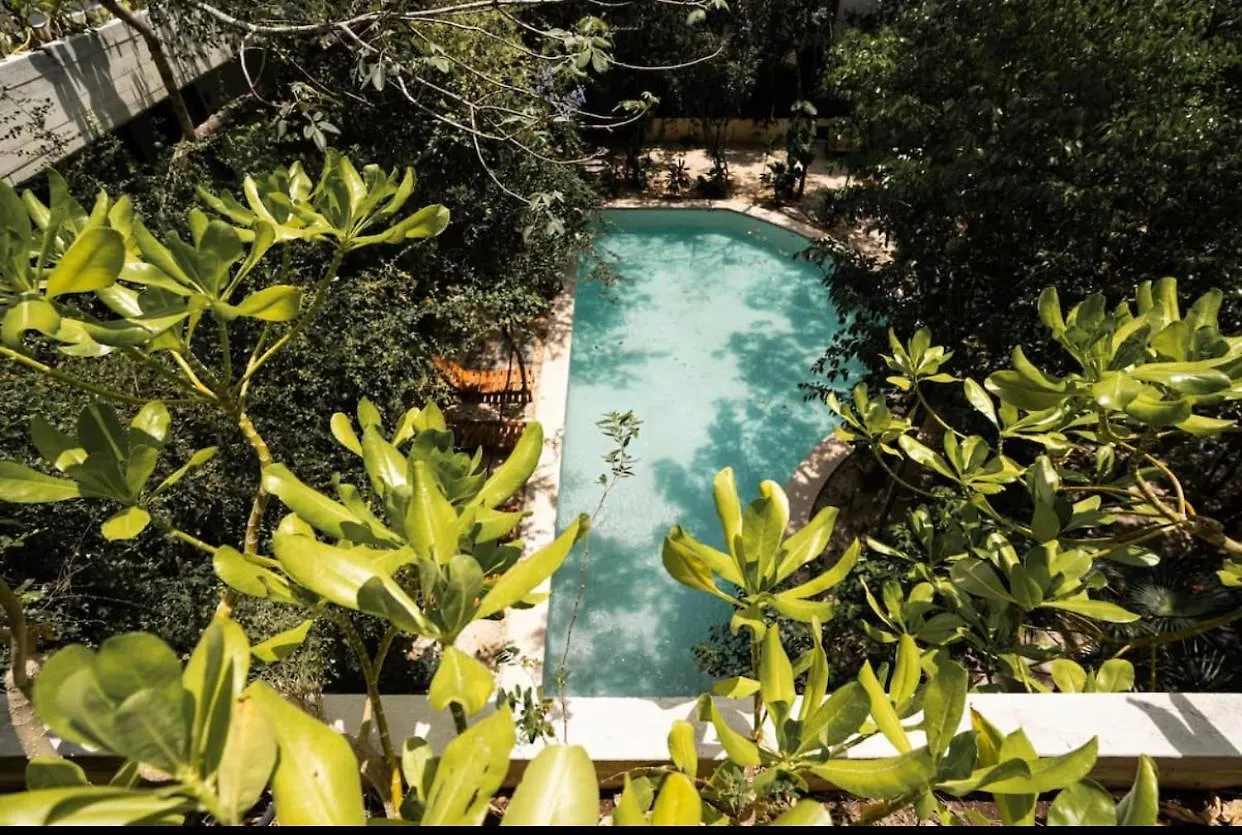 Apartmán Penthouse En La Veleta Tulum Con Alberca Privada
